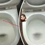 Et produkt gør din toiletkumme skinnende hvid: Sådan får du bugt med plak og snavs på 15 minutter Et produkt gør din toiletkumme skinnende hvid: Sådan får du