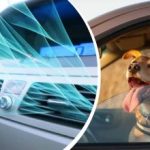 Hedebølgen rammer Ukraine: Sådan afkøler du hurtigt bilens indre uden aircondition Hedebølgen rammer Ukraine: Sådan afkøler du hurtigt bilens indre uden