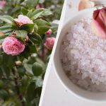 Med dette middel vil roserne blomstre som aldrig før: Hvad