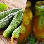 Sådan lukker du agurker i chiliketchup til vinter: 3 uovertrufne