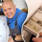 Sådan renser du en vaskemaskine for skimmelsvamp og lugt: ekspertens tips til at spare penge Sådan renser du en vaskemaskine for skimmelsvamp og lugt: ekspertens