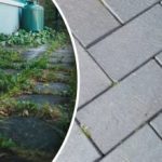 Ukrudt i din have forsvinder fra den ene dag til