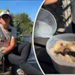 Bedstefars enkle metode: en gartner fortalte, hvordan man holder gulerødder