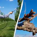 Du behøver ikke at bekymre dig om skadedyr før slutningen