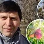 Efterlader ingen chance for krøller: Ekspert afslører effektiv ferskenbeskyttelse