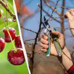 Gå glip af dette øjeblik - og der vil ikke