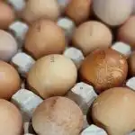 Hvor længe skal man egentlig koge æg, for at blommen ikke bliver grå, og hviden ikke bliver gummiagtig? hvor-laenge-skal-man-egentlig-koge-aeg-for-at-blommen.jpg