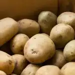 Hvornår skal man tage kartofler op af kælderen for at