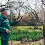 Kloge gartnere sprøjtede haven med ét produkt: Ikke et eneste