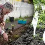 Naboerne grinede, indtil de så resultatet: Hvorfor der er brug for gafler i køkkenhaven Naboerne grinede, indtil de så resultatet: Hvorfor der er brug