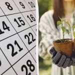 Præcis månekalender til såning i marts 2026: Hvad skal man