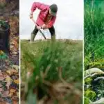 Sådan ødelægger du en træstub på grunden: en enkel metode uden en skovl Sådan ødelægger du en træstub på grunden: en enkel metode