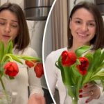 Sådan redder du visne tulipaner på 5 minutter - et