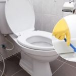 Sådan rengør du toiletkummen med eddike: en enkel hjemmemetode, der