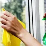 saadan-rengoer-du-vinduer-uden-kemikalier-saa-der-ikke-er.webp.webp