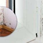 Sort skimmel forsvinder på få minutter: Der findes et enkelt