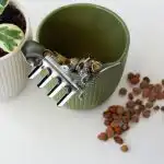 Eksperter har aflivet en populær myte: Sten i bunden af