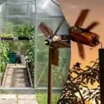 En enhed mod stære og muldvarpe: en enkel løsning til