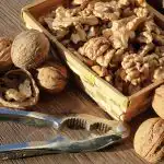 Hvornår er det bedst at spise valnødder: Forskere har udpeget