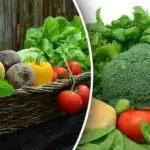 Plant ikke disse planter fra frø - du vil miste